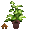 Potted Rubber Tree - virtual item (donated)