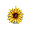 Single Sunflower - Red Bouquet - virtual item