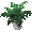 Neutral Starter Plant - virtual item (wanted)