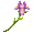 Lavender Iris - virtual item (Questing)