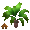 Potted Palm - virtual item (Wanted)