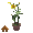 Potted Sunflowers - virtual item (Questing)