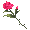 Long-Stem Pink Rose - virtual item (Wanted)
