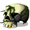 Aquarium Pirate Skull - virtual item (Wanted)
