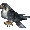 Spirit Falcon (Falcon Perch)