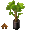 Black Potted Island Palm - virtual item (Wanted)