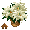 White Poinsettias - virtual item (Wanted)