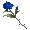 Long-Stem Blue Rose
