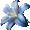 Aquarium Precious Lily - virtual item (Questing)