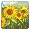 Summer Sunflower - virtual item (Questing)