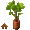 Potted Island Palm - virtual item (Donated)