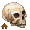 Human Skull - virtual item (Questing)