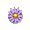 Single Purple Daisy - Gold Bouquet