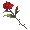 Long-Stem Red Rose - virtual item (Bought)