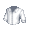 White Button Down Shirt - virtual item