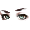 Gamma Ray Burst Eyes - virtual item ()