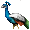 Pride of Hera (Prized Peacock)