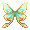 Fluttering Moth