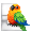 Poko the Jenday Conure - virtual item (Wanted)