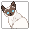 Feline Friend Siamese - virtual item (Wanted)