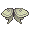 Gift of Luna Moth